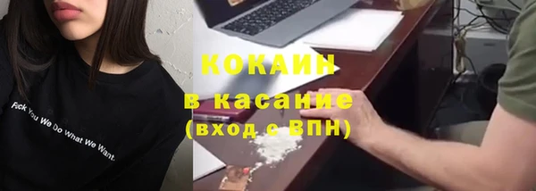 стаф Алзамай