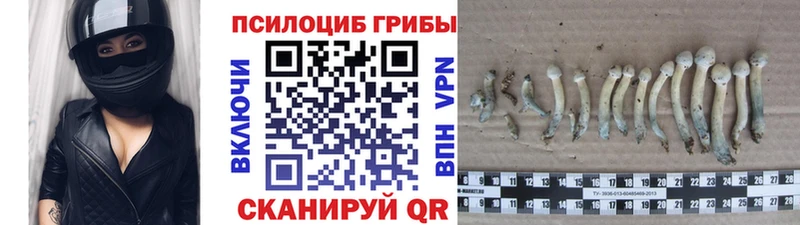 купить  цена  Осинники  Псилоцибиновые грибы GOLDEN TEACHER 